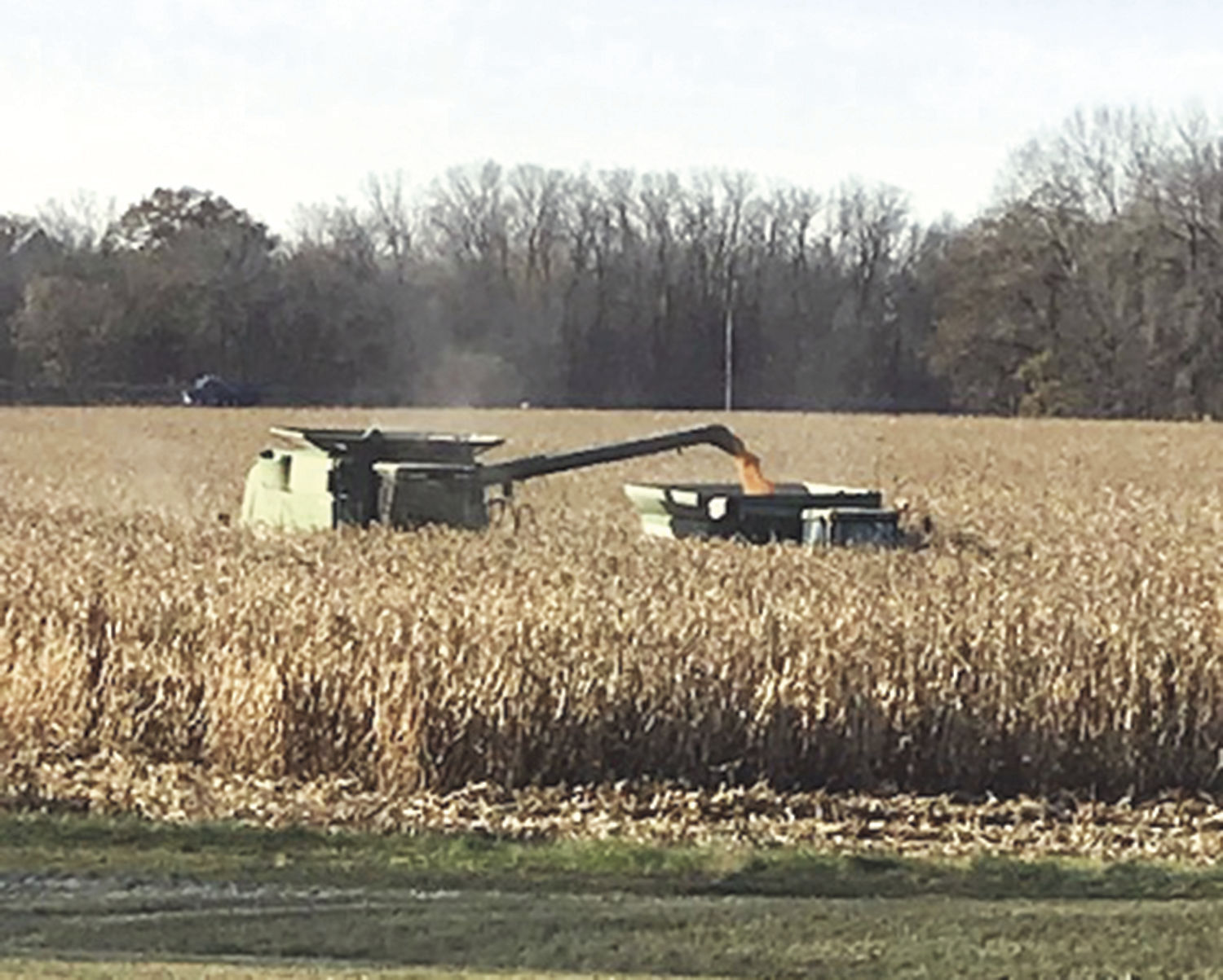 End of harvest